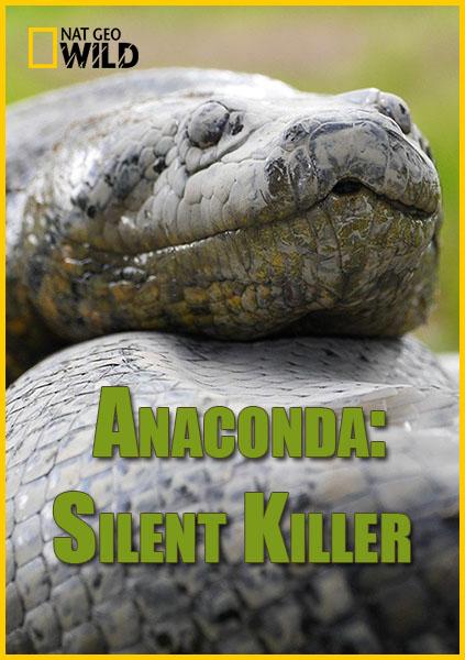 National Geographic. Анаконда: Тихий убийца / Anaconda: Silent Killer