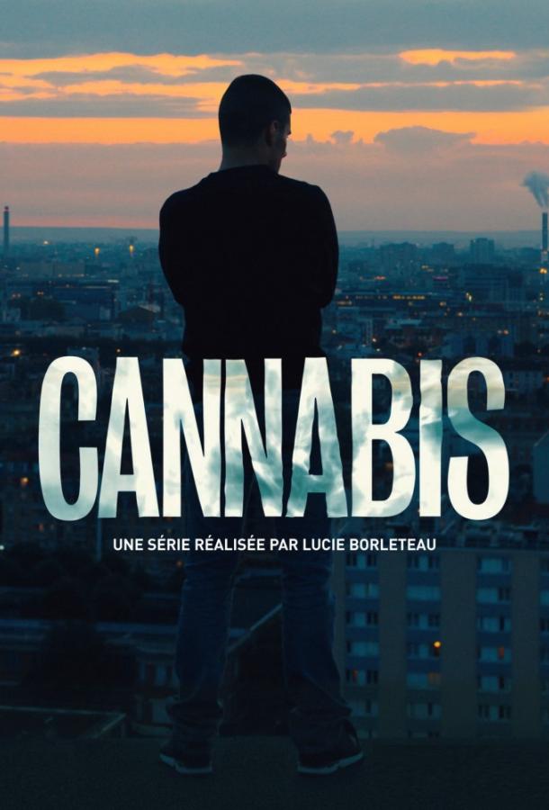 Каннабис / Cannabis