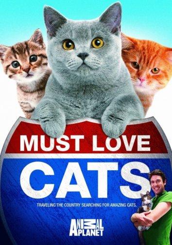 Кошек не любить нельзя / Must Love Cats