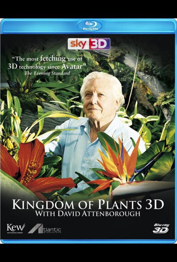 В королевстве растений / Kingdom of Plants 3D