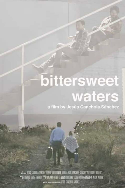Горько-сладкие воды / Bittersweet Waters