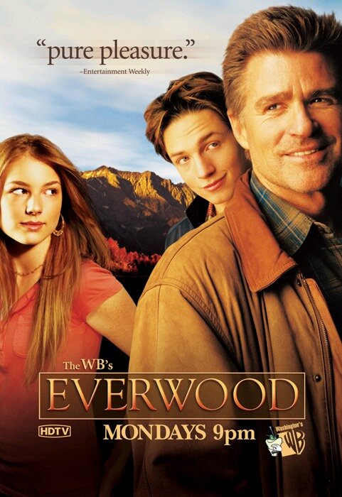 Любовь вдовца / Everwood