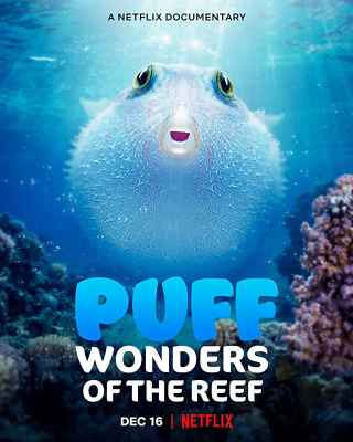 Чудеса кораллового рифа / Puff: Wonders of the Reef
