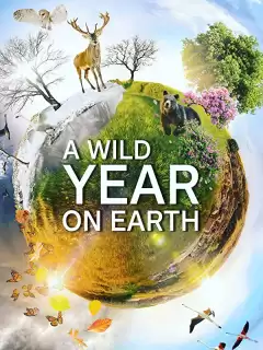 Дикий год на Земле / A Wild Year on Earth