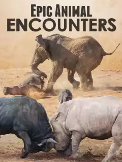 Невероятные встречи с животными / Epic Animal Encounters