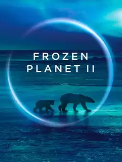 BBC. Замёрзшая планета 2 / Frozen Planet II