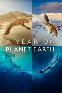 Год на планете Земля / A Year on Planet Earth