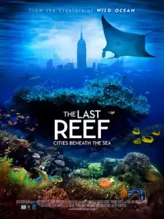 Последний риф / The Last Reef