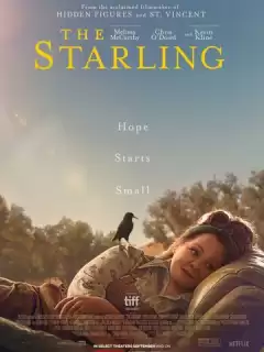Скворец / The Starling