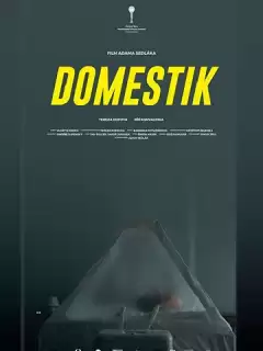 Домашний режим / Domestik