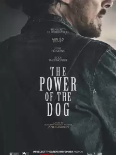 Власть пса / The Power of the Dog