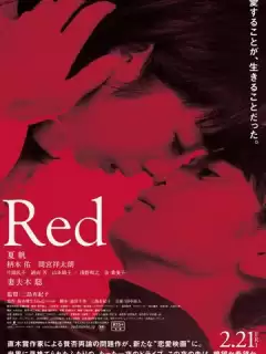 Красный / Red