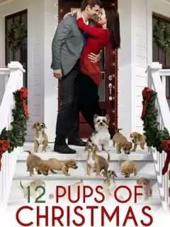 12 щенков Рождества / 12 Pups of Christmas