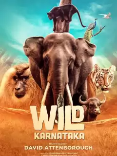 Дикая Карнатака / Wild Karnataka