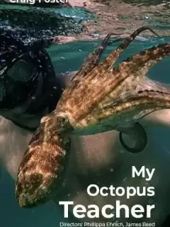 Мой учитель-осьминог / My Octopus Teacher