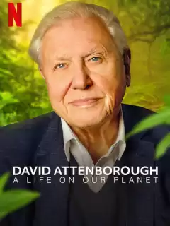 Дэвид Аттенборо: Жизнь на нашей планете / David Attenborough: A Life on Our Planet
