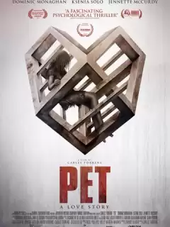 Питомец / Pet