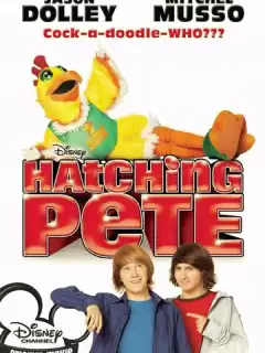 Пит в перьях / Hatching Pete