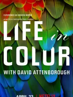 Жизнь в цвете с Дэвидом Аттенборо / Life in Colour