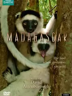 BBC: Мадагаскар / Madagascar