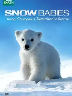Дети снегов / BBC. Snow Babies