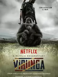 Вирунга / Virunga