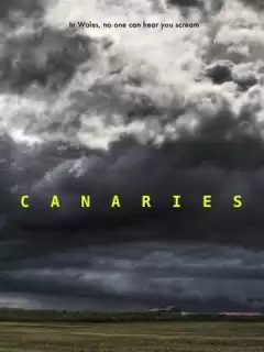 Канарейки / Canaries