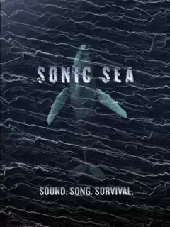 Оглушающий океан / Sonic Sea