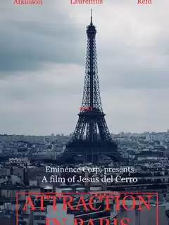 Притягательность Парижа / Attraction to Paris