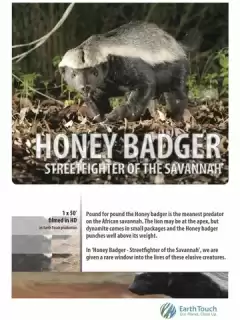 Жизнь одного медоеда / Ultimate Honey Badger