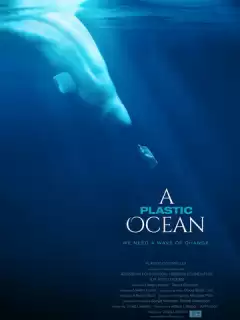 Пластиковый океан / A Plastic Ocean