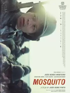Москит / Mosquito