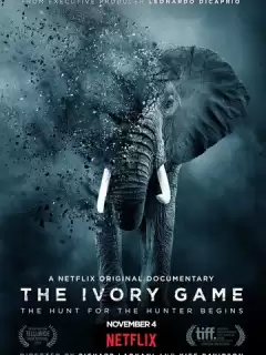 Игра цвета слоновой кости / The Ivory Game