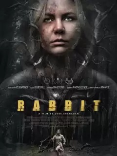 Кролик / Rabbit