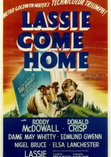 Лесси возвращается домой / Lassie Come Home