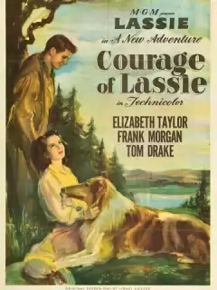 Храбрость Лэсси / Courage of Lassie