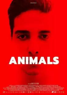 Животные / Animals