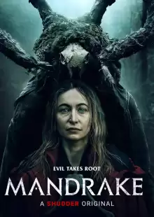 Мандрагора / Mandrake
