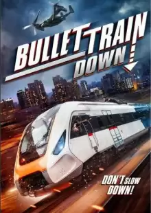 Крушение скоростного поезда / Bullet Train Down