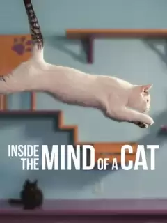 Внутри разума кошки / Inside the Mind of a Cat