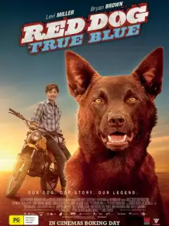 Рыжий пес: Самый верный / Red Dog: True Blue