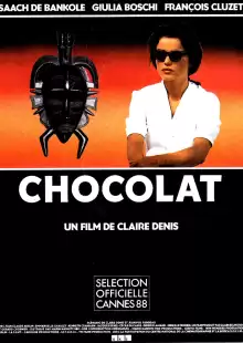 Шоколад / Chocolat