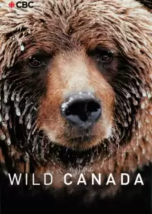 Дикая Канада / Wild Canada