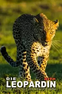 Королева леопардов / Die Leopardin