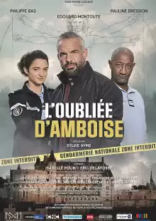 Пропавшая в Амбуазе / L'oubliée d'Amboise